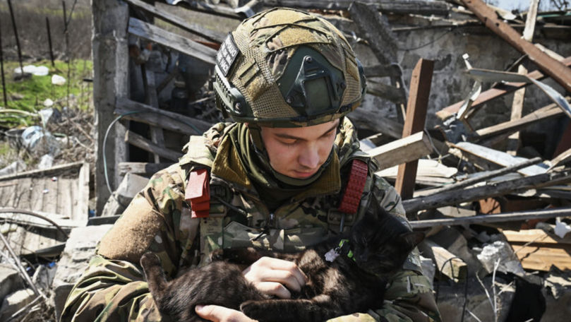 Украина предложила России продлить перемирие.