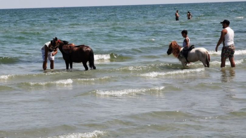 Şi-a spălat caii cu detergent şi spumă în apa mării lângă plajă
