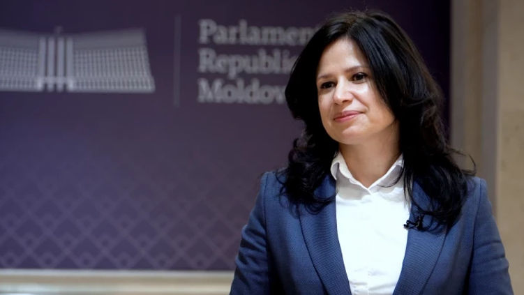 Делегация парламента Молдовы отправляется в Вену.