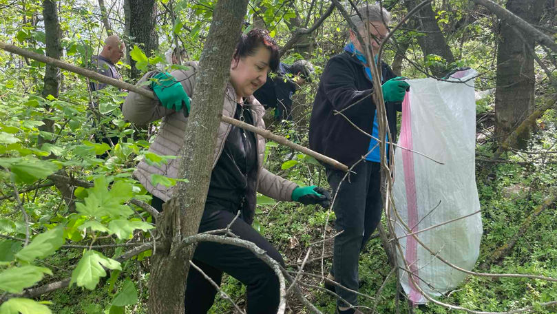 MEC lansează o nouă ediție a campaniei de salubrizare a pădurilor