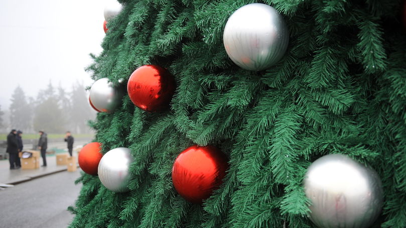 În centrul Chișinăului a început instalarea Pomului de Crăciun