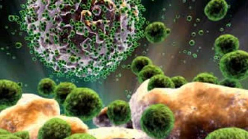 Modul în care HIV infectează celulele, reprodus în laborator