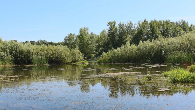 После утреннего холода солнечный и погожий день порадует жителей Молдовы.