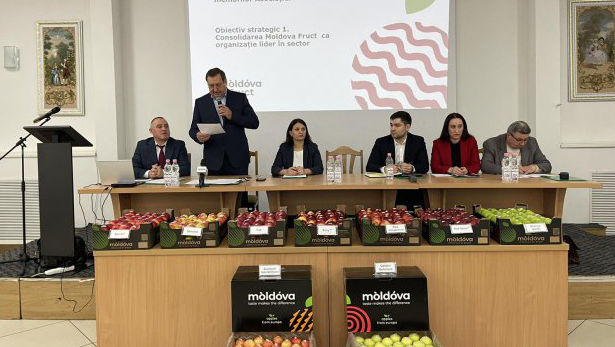 Moldova Fruct: Producătorii de fructe au înscris realizări importante