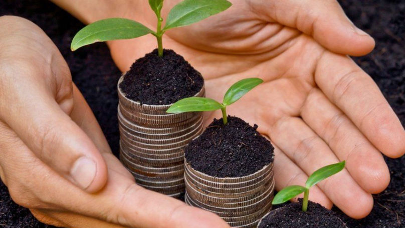 AIPA a autorizat spre plată circa 53,52 milioane lei pentru agricultori