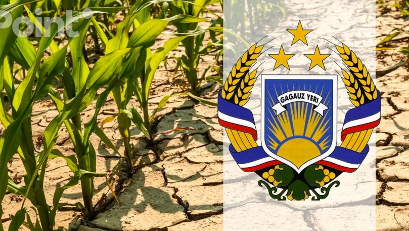 Аграрии Гагаузии обратились за помощью к Минсельхозу для покрытия убытков от непогоды.