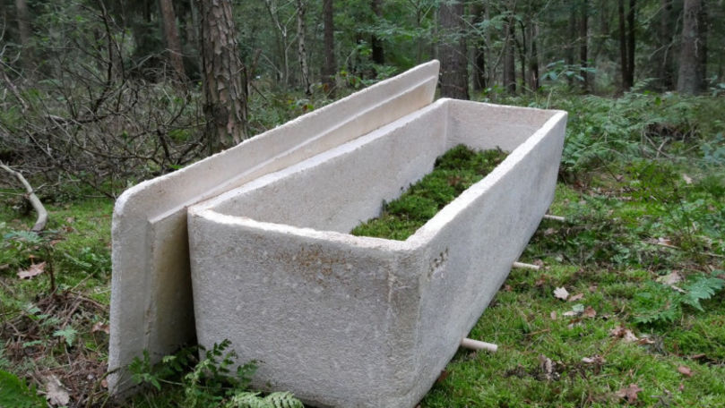 Un olandez propune înmormântarea eco: Sicrie din ciuperci