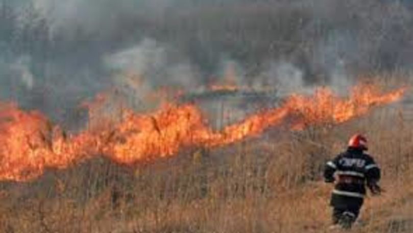 Incendiu la Hâncești: Mai multe hectare de teren, în flăcări