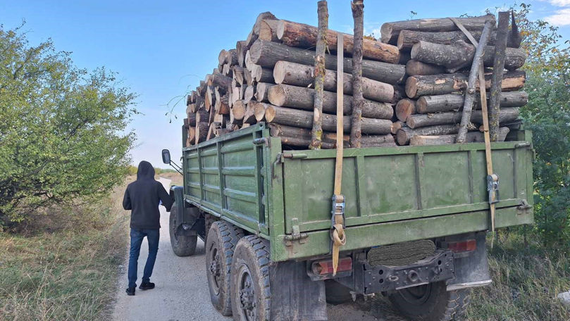 Razie la Nisporeni: Șoferi amendați pentru transport ilegal de lemne