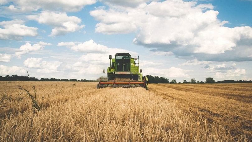 În Moldova vor fi constituite 11 camere agricole: Opinii pro și contra