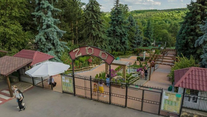 La Grădina Zoologică din Chișinău se construiește un nou țarc pentru lei