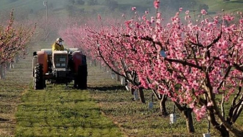 Seceta din ultimele săptămâni va afecta agricultura tradiţională