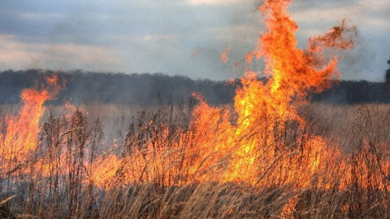 Avertizare meteorologică: Cod Galben de pericol de incendiu în Moldova