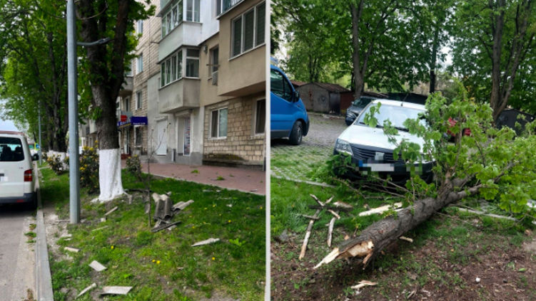 Из-за неблагоприятных погодных условий в ряде регионов РМ зафиксировано 15 инцидентов.