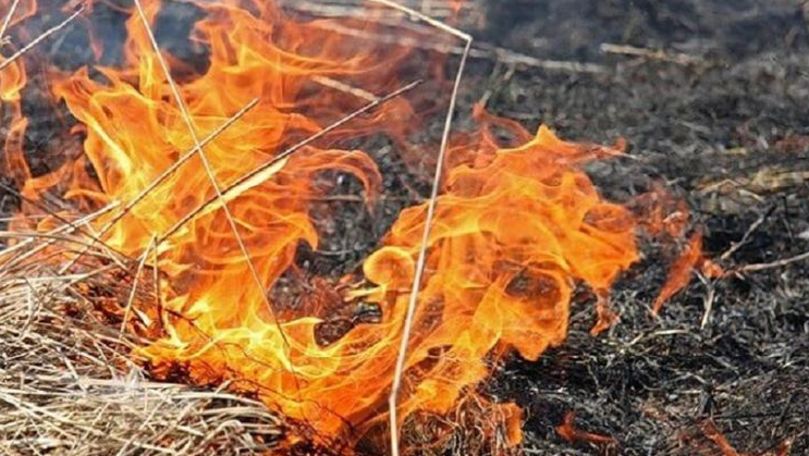 В Молдове зафиксированы десятки возгораний сухой растительности.