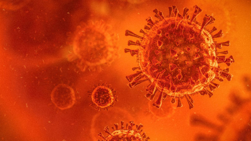 Danemarca a depistat primul caz de infectare cu noua tulpină africană