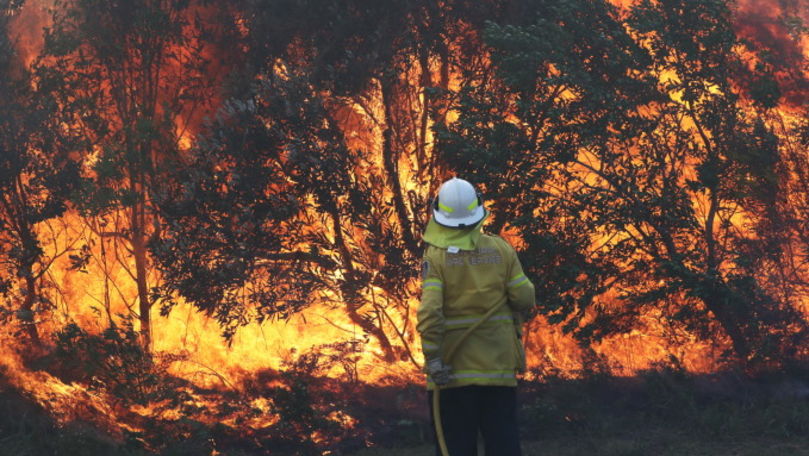 Incendii de vegetație în Australia: Zeci de case au fost mistuite