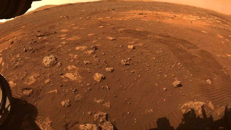 NASA a descoperit un urs pe Marte: Imaginea virală
