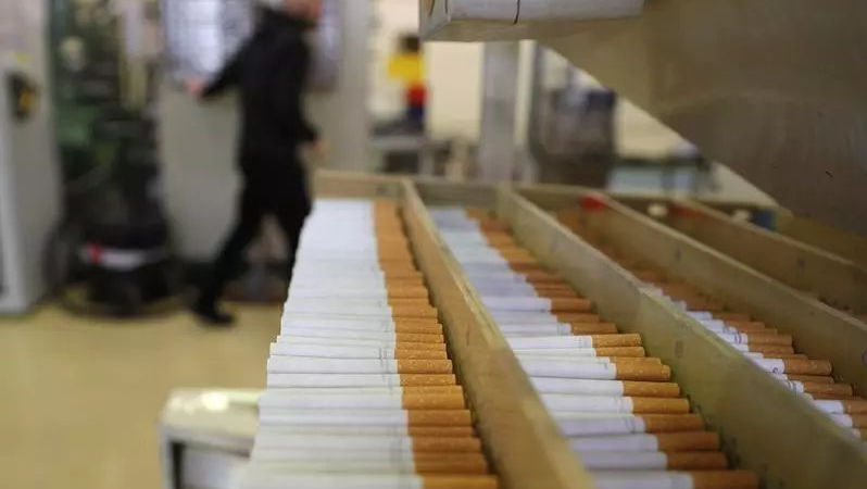 O fabrică clandestină de țigări, deschisă de un moldovean în Cehia