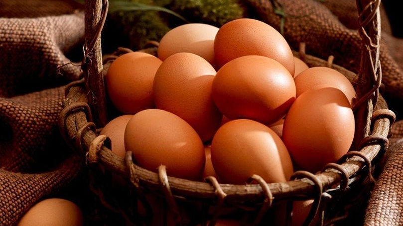 Moldovenii au consumat peste 600 de milioane de ouă într-un singur an