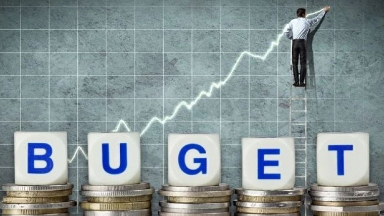 În 2024, la bugetul de stat au rămas nevalorificate peste 2 miliarde lei