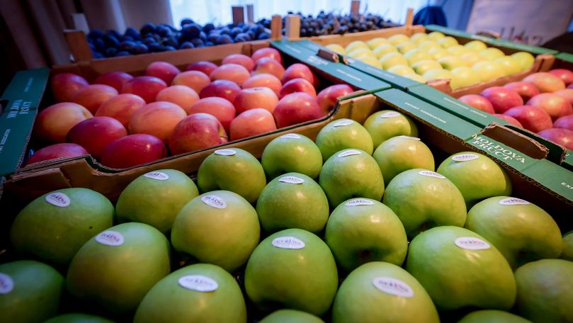 Soluții agricultorilor care și-au scos strugurii și merele din frigider