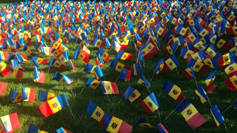 Curtea IGP, împânzită cu sute de steaguri tricolore