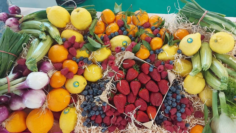Exporturile de fructe din R. Moldova au atins un nivel-record în 2024
