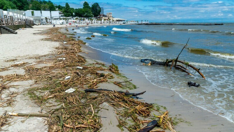 Epidemiologii au descoperit bacterii în apele din regiunea Odesa