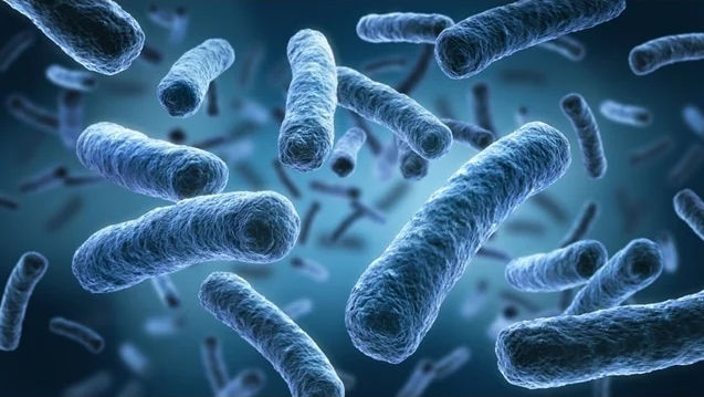 Ce s-ar întâmpla cu omenirea dacă ar dispărea microbii