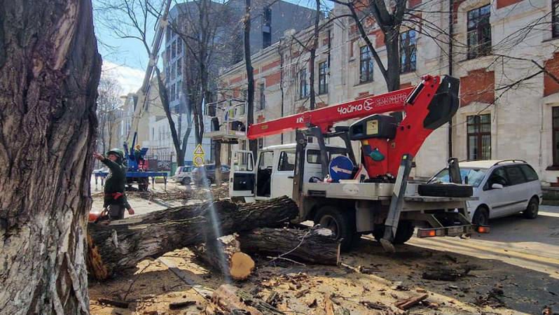 Lucrări de curățare a arborilor în Capitală: Traficul rutier, suspendat