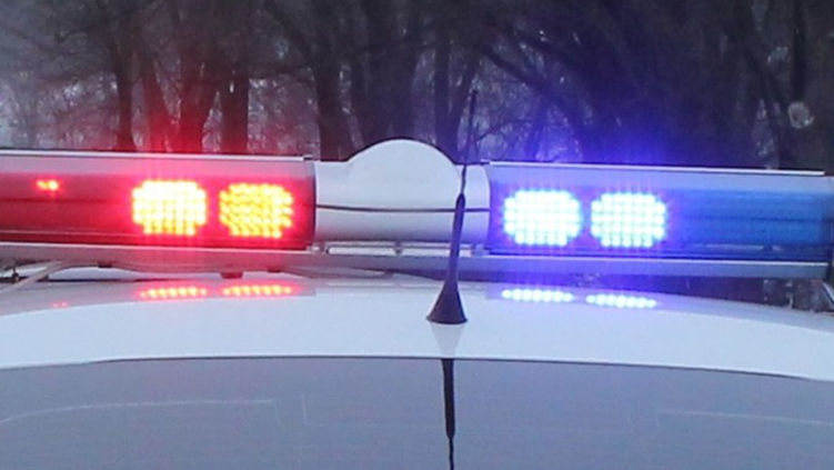 В Теленештском районе водитель BMW погиб, врезавшись в дерево.