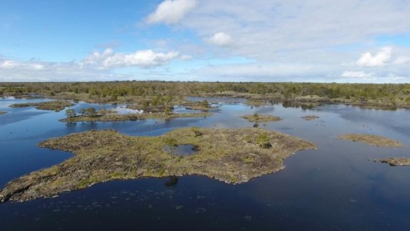 Incendiile din Australia au scos la lumină o minune de acum 6.000 de ani