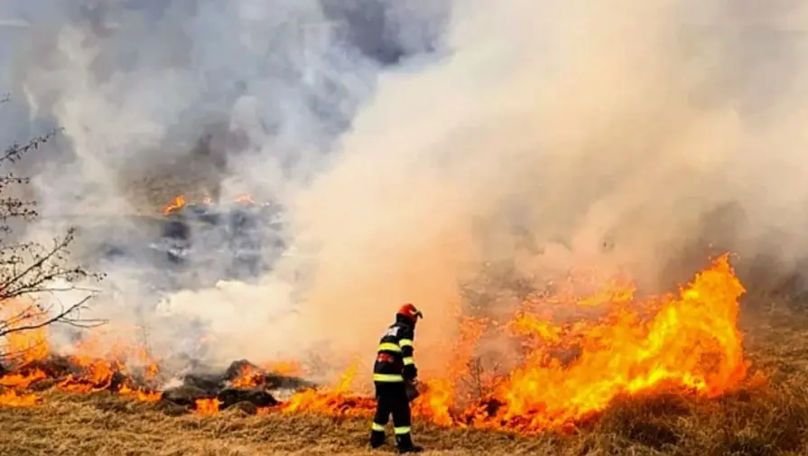 Un incendiu puternic a izbucnit la Cantemir: Au intervenit 29 pompieri