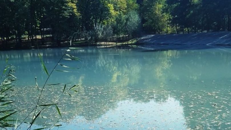 Peşti morţi într-un lac din Chișinău: Mirosul este insuportabil