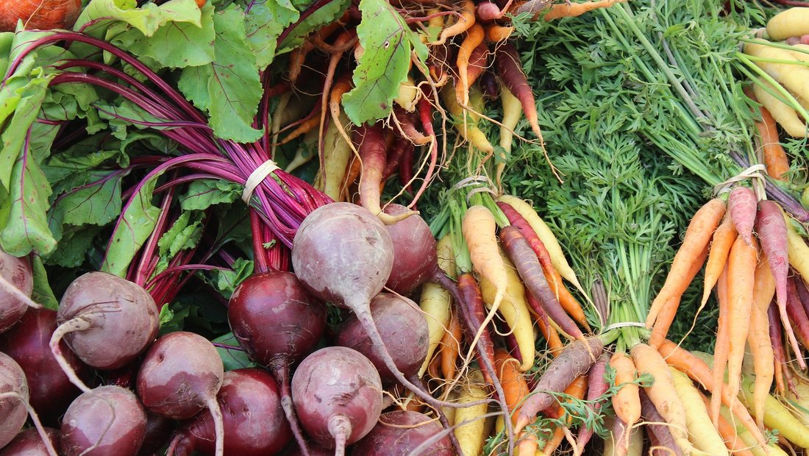 Japonia invită agricultorii la seminare privind depozitarea legumelor
