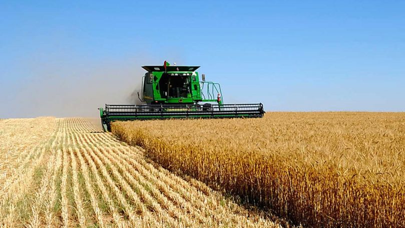 Agricultorii începători pot solicita subvenții de la stat