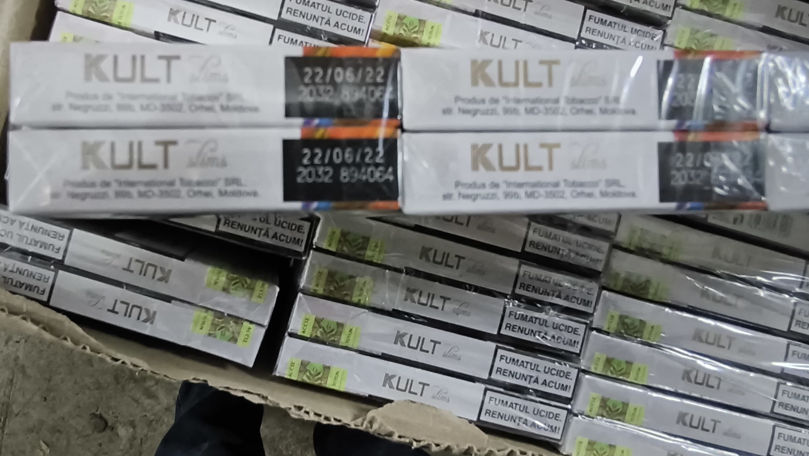 1.890.000 de țigarete ascunse printre plante decorative, găsite la vamă