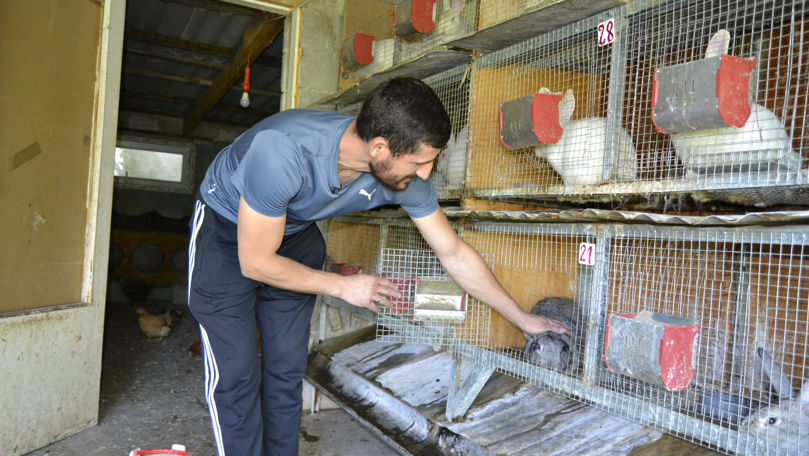 Își alintă urecheații cu muzică. Povestea unui bărbat care crește iepuri