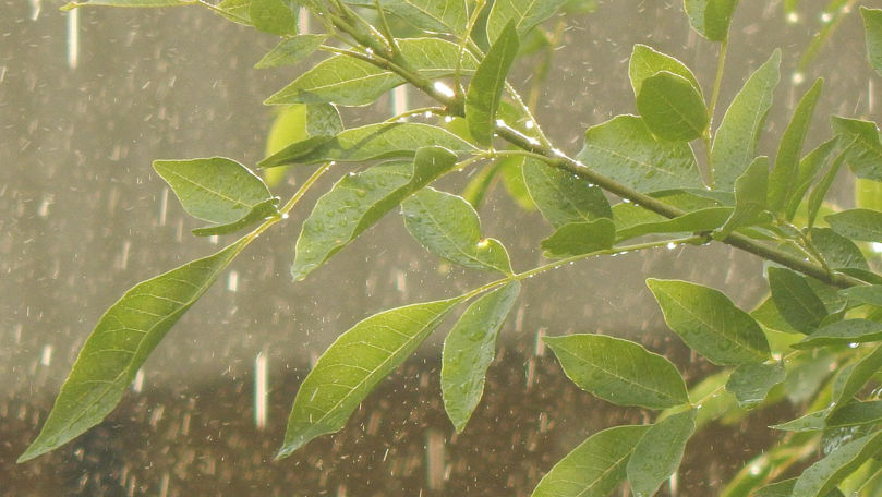 Meteo 20 mai 2025: Ploi slabe în unele zone. Ce maxime vom avea