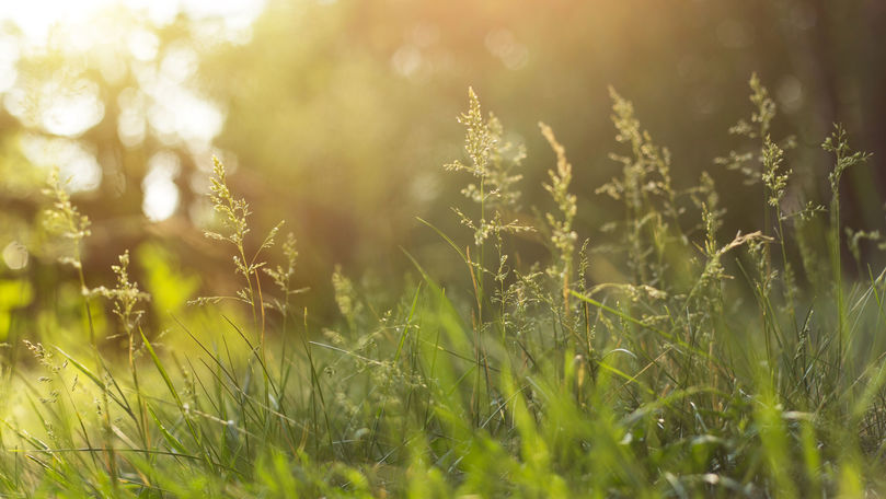 Frig în toată țara: Ziua din weekend când vor fi +26 de grade Celsius