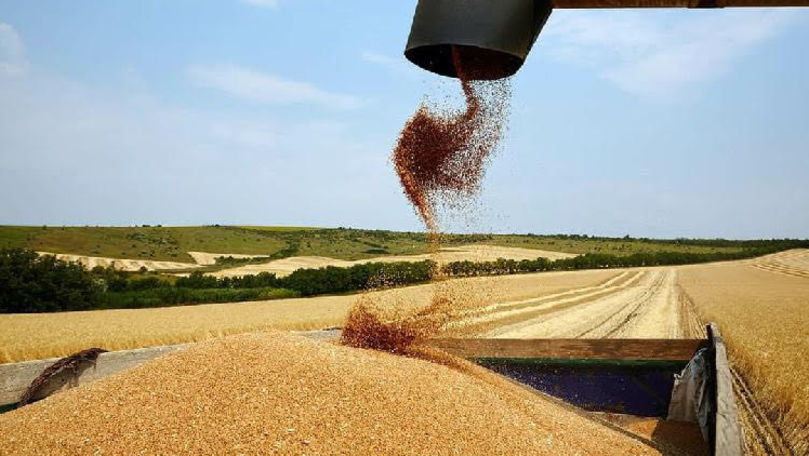 Federația Fermierilor: Recolta de grâne din 2022 poate fi compromisă
