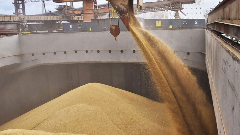 Украина и Израиль поскандалили в X из-за краденого зерна.