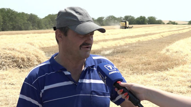 Fermierii din Criuleni se așteaptă în acest an la o recoltă bună