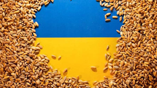 Ucraina vrea să extindă acordul privind exporturile de cereale şi la alte produse