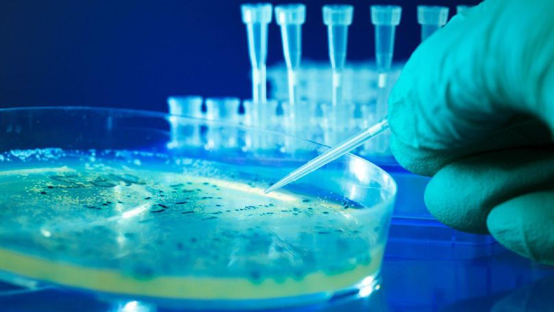Mesajul Rusiei după explozia dintr-un laborator cu virusul variolei