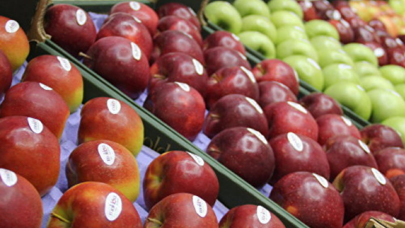 ANSA extinde lista companiilor ce vor exporta fructe și legume în Rusia