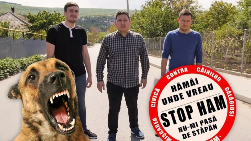 Zebra Show i-a parodiat pe cei de la StopHam: Hămăi unde vreau