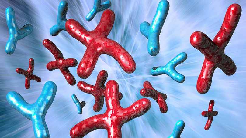 В Бельгии хотят закрепить "третий пол" в свидетельствах о рождении. Фото: ria.ru.