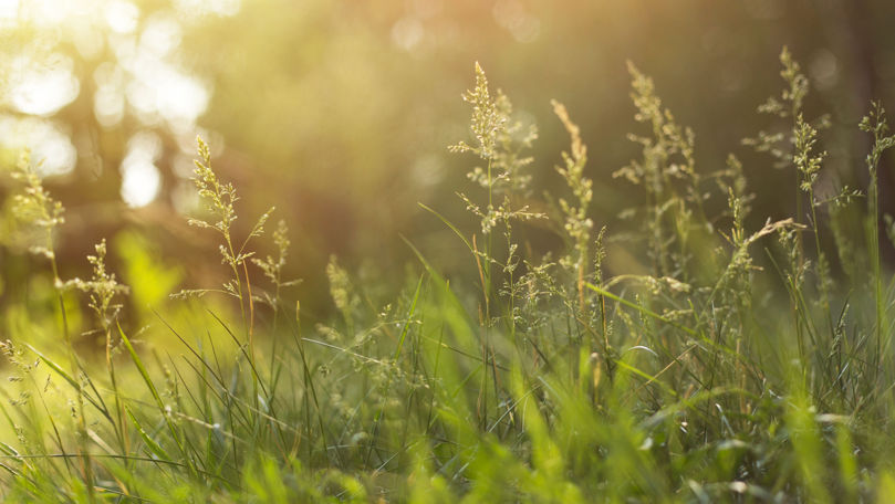 Пятница завершает период умеренных температур в Молдове.